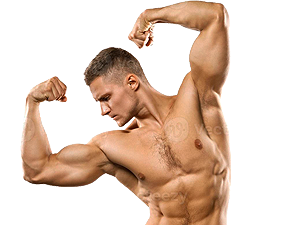 body